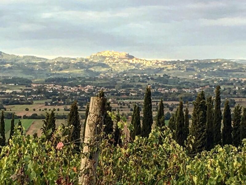 Montepulciano: Wine Tour and tasting - An Honest Look at the Experience