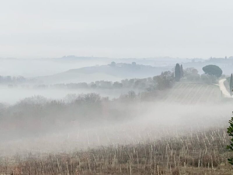 Montepulciano: Wine Tour and tasting - FAQs