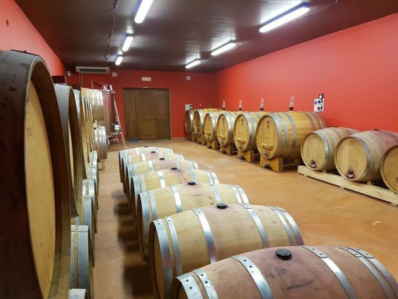 Montepulciano: Winery Tour, Tasting, and Vineyard Picnic - Key Points