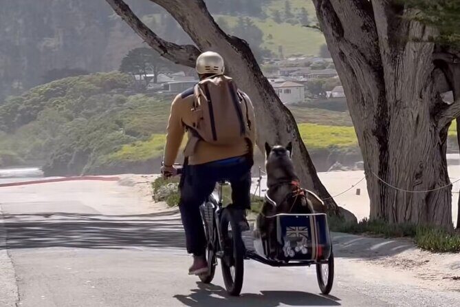 Monterey Bay Famous Dog Friendly Electric Bike and Sidecar Tour - Final Thoughts: Who Will Enjoy This?
