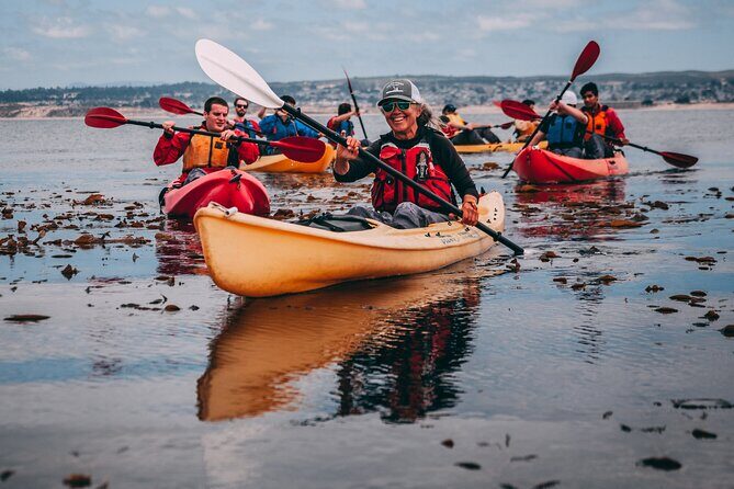 Monterey Bay Full-Day Kayak Rental: Otters, Seals and Sea Lions - Exploring Monterey Bay by Kayak: Otters, Seals, and Sea Lions
