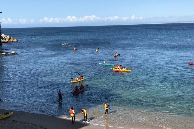 Monterey Bay Full-Day Kayak Rental: Otters, Seals and Sea Lions - What to Expect on Your Day