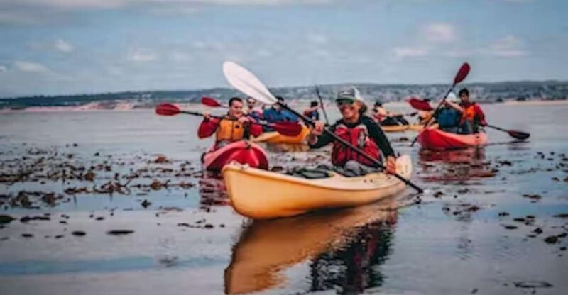 Monterey: Cannery Row Kayak Tour - What the Tour Entails