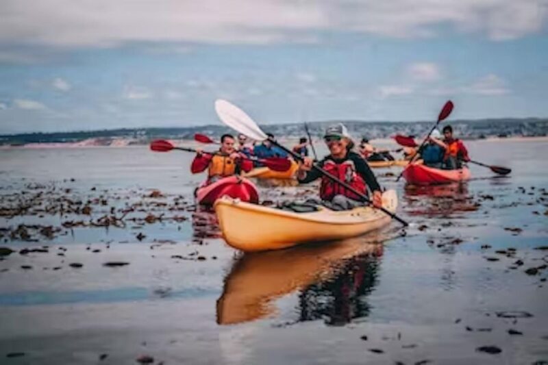 Monterey: Cannery Row Kayak Tour - Equipment and Comfort: What’s Included