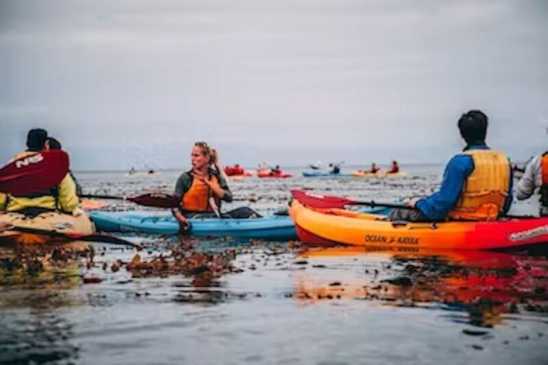 Monterey: Cannery Row Kayak Tour - Who Will Love This Experience?