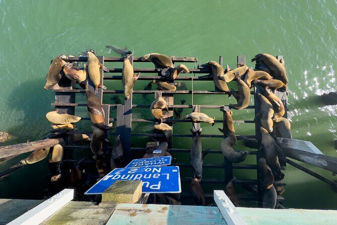 Monterey, Carmel, 17 Mile Dr, Big Sur & Mcway Falls PrivateTour - Key Points