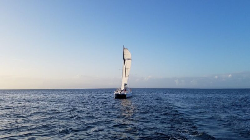 Monterey: Catamaran Sailing Cruise - Who Would Love This Tour?