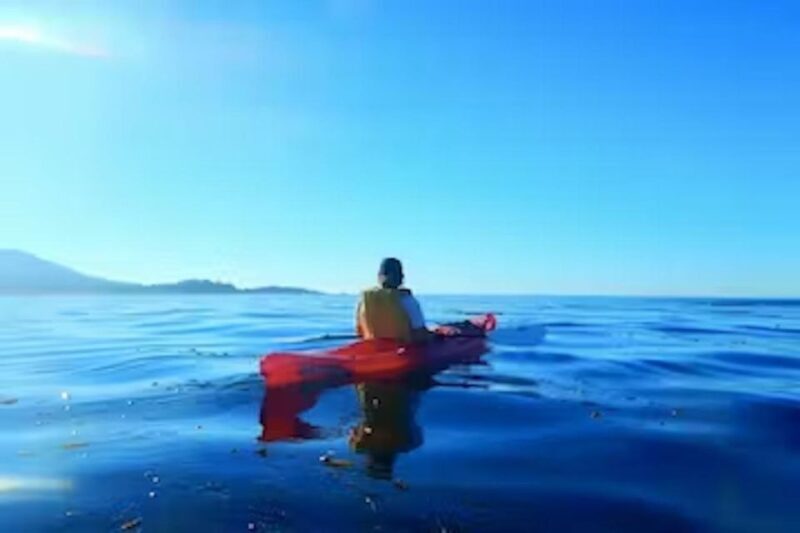 Monterey: Pebble Beach Kayak Tour - What to Expect on the Pebble Beach Kayak Tour