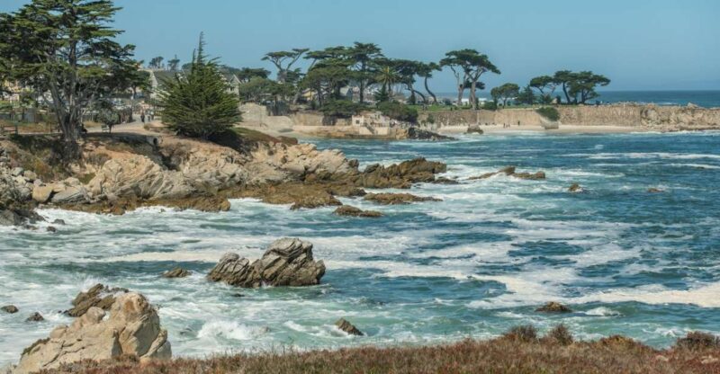Monterey Peninsula Sightseeing Tour including 17 Mile Drive - An In-Depth Look at the Tour Experience