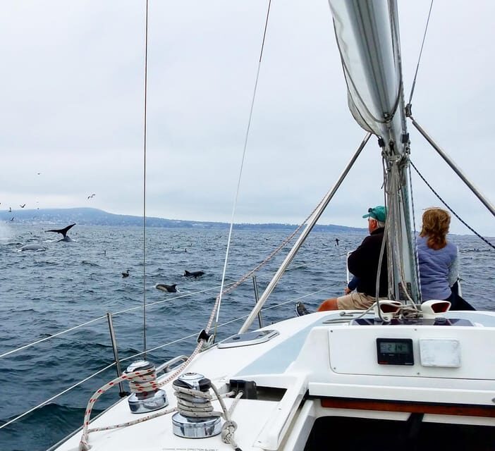Monterey: Private Whale Watching/Sailing Tour for 6 - FAQs