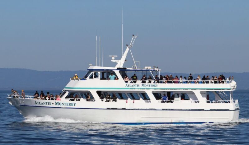 Monterey: Whale Watching Tour with A Marine Guide - FAQ