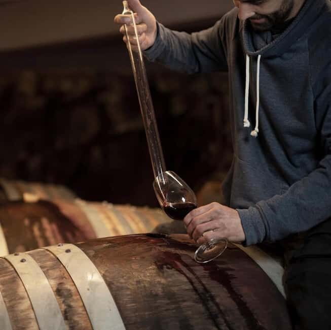 Montevarchi: tour of the estate and tasting of 5 wines, 1 oil - Key Points