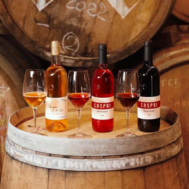 Montevarchi: tour of the estate and tasting of 5 wines, 1 oil - Exploring the Fattoria di Caspri: A Genuine Tuscan Visit