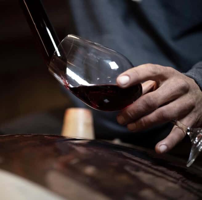 Montevarchi: tour of the estate and tasting of 5 wines, 1 oil - Who Should Consider This Tour?