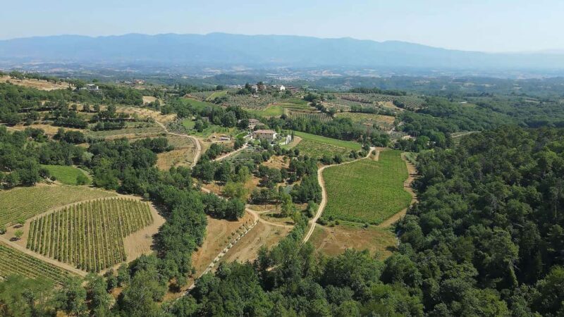 Montevarchi: Visit the estate and taste 2 wines - The Practical Side: What You Need to Know