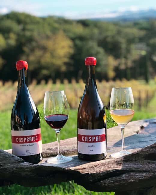 Montevarchi: Visit the estate and taste 2 wines - FAQs