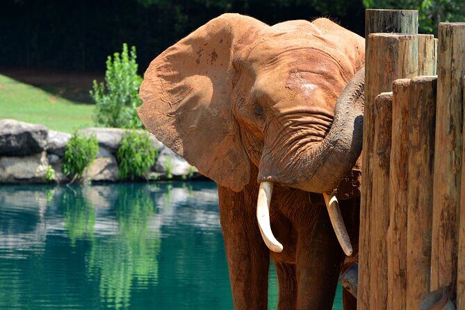 Montgomery, Selma Area Multi-Attraction Pass - FAQ