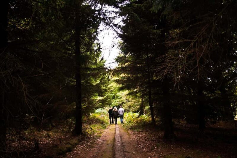 Monthermé: wild hike along the Meuse crests and its viewpoints - Who Should Consider This Tour