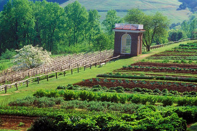 Monticello, VA Private Tour - Practical Tips for Your Trip