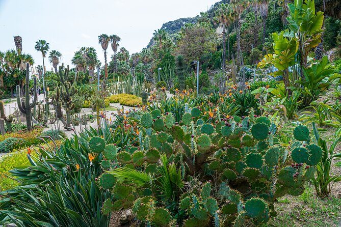 Montjuïc Cable Car Entry Voucher with Audio Tour on Your Phone - Key Points