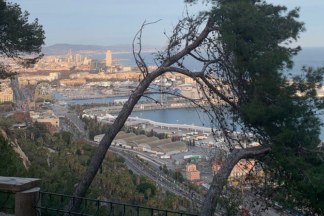 Montjuïc Magic: Hidden Pathways, Vermut Delights & Sunset Bliss - Final Thoughts