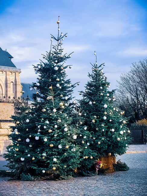 Montmartre: Semi Private Guided Stroll in Bohemian Paris - Is This Tour for You?