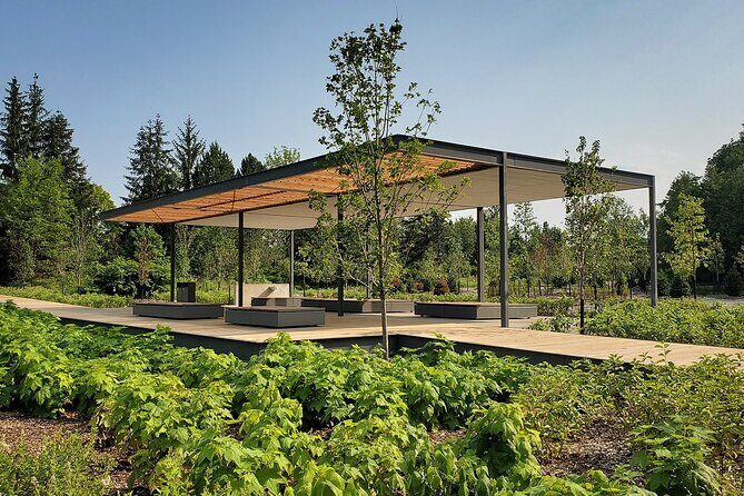 Montmorency Falls shuttle bus & admission - The Real Deal: What to Expect on This Tour