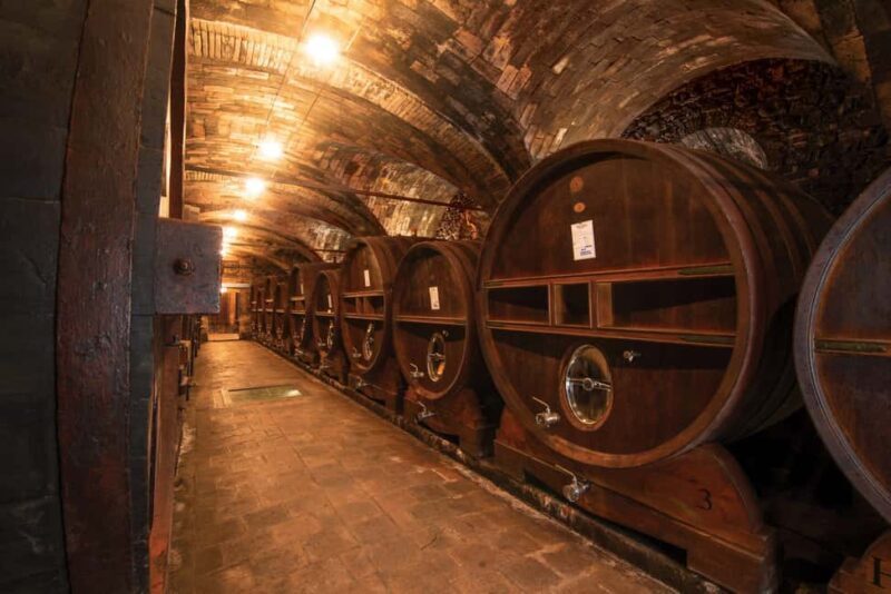 Montone: e-bike tour of the medieval village and visit to a winery - Key Points