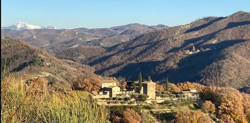 Montone: Medieval Dinner in Cardaneto Castle - Highlights That Make This Experience Special