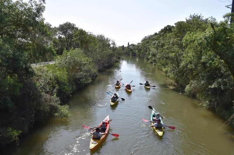 Montpellier : Birdwatching by kayak in the Camargue - FAQ