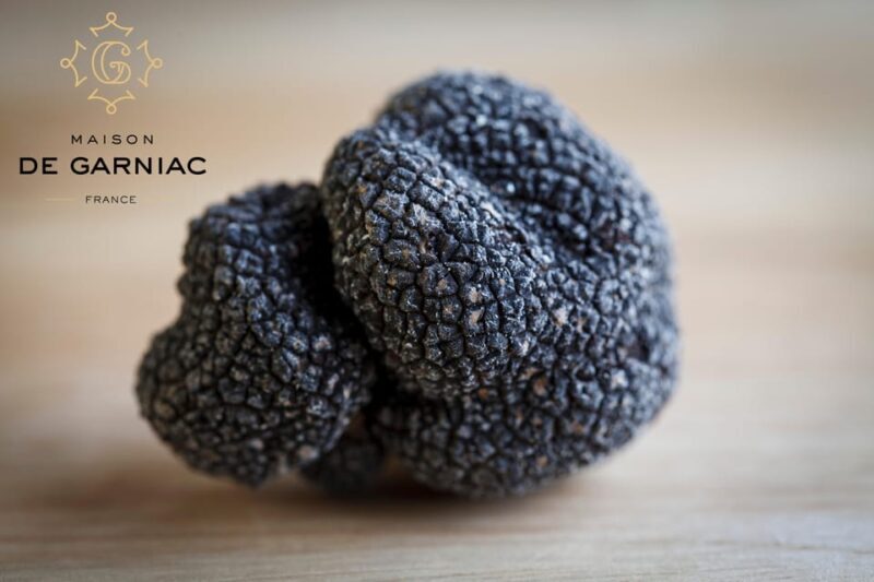 Montpellier: Full day Truffles and Chateauneuf-du-Pape Wines - Who Should Consider This Tour?