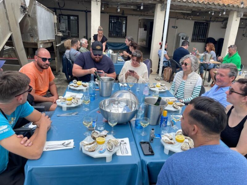 Montpellier: Half-Day Wine Tour with Lunch - Key Points