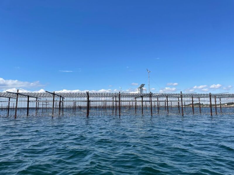 Montpellier: Half-Day Wine Tour with Lunch - Final Thoughts