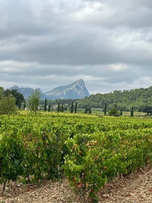 Montpellier: Pic Saint-Loup Wine Tour - What Sets This Tour Apart