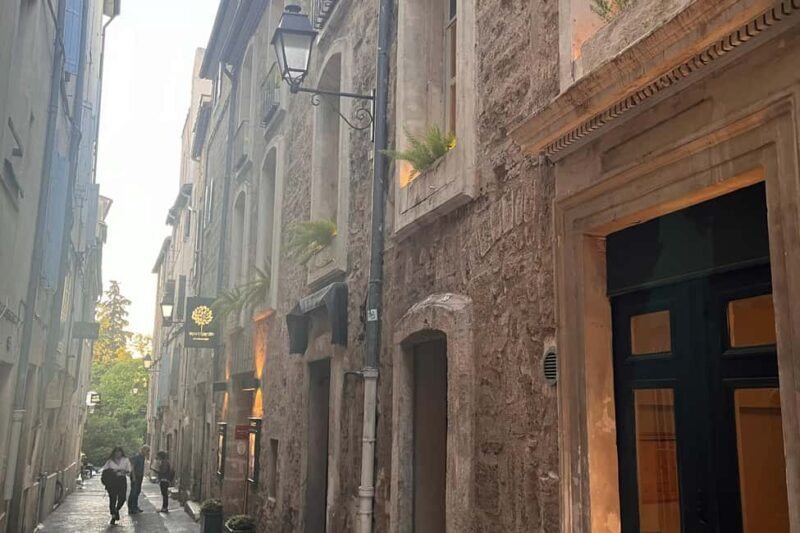 Montpellier: Private Walking Tour with Licensed Guide - What Is This Tour All About?