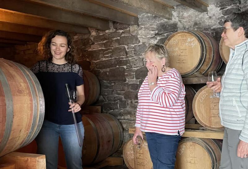 Montpellier : Wine Tour Pic St Loup - Introduction