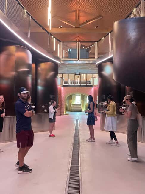 Montpellier : Wine Tour Pic St Loup - The Experience and What Makes It Special