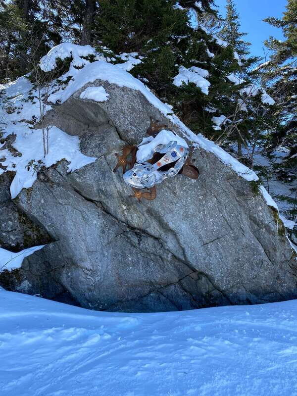 Montreal: Canadian Forest Guided Tour by Snowmobile - FAQ