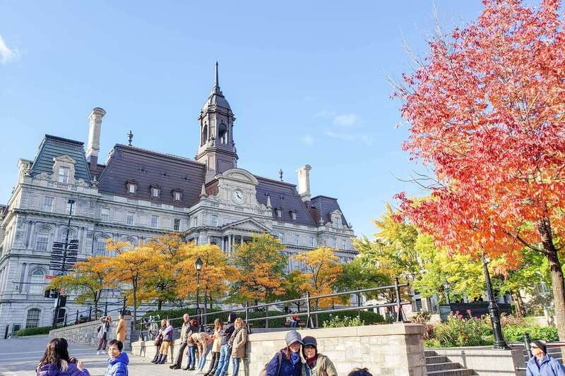 Montreal: Guided Bus Tour - McGill University and Université de Montréal: the campus contrast