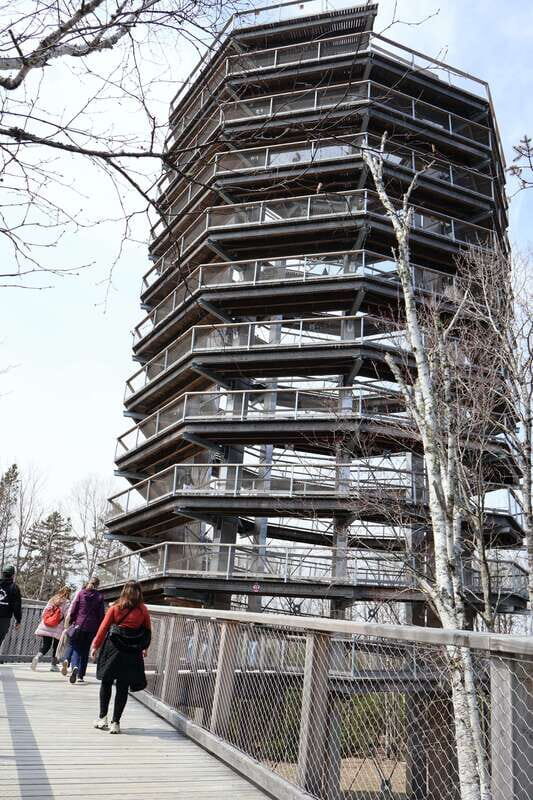 Montreal: Guided tour of the Laurentides Mont Tremblant - Exploring the Mont-Tremblant Tour: An Honest Look at a Full-Day Quebec Adventure