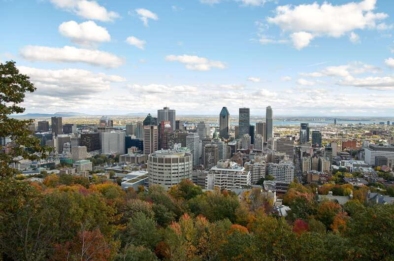 Montreal: Half-Day City Tour - What the Reviews Say