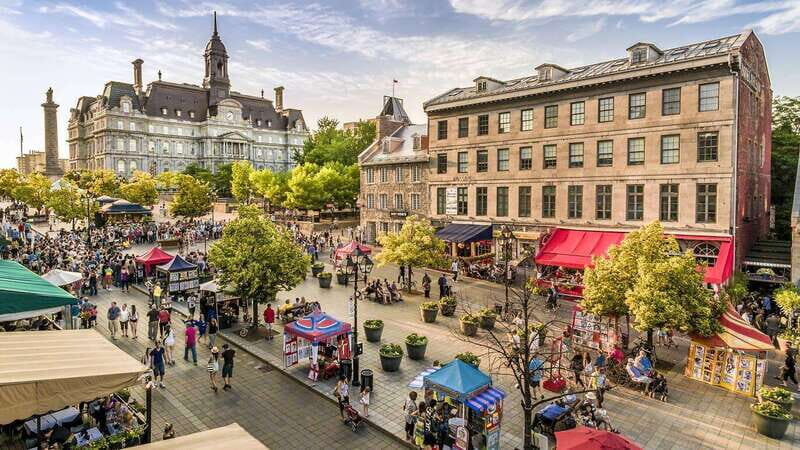 Montreal: Half-day Guided City Tour - Who Would Enjoy This Tour?