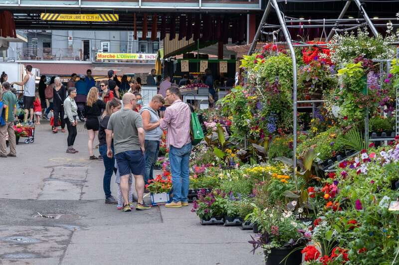 Montreal: Jean-Talon Market & Little Italy Highlights Tour - The Value of a Guided Tour Like This