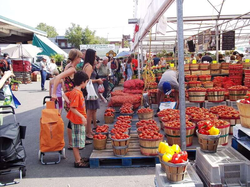 Montreal: Jean-Talon Market & Little Italy Highlights Tour - Final thoughts