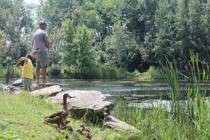 Montreal Mindfulness Walking Tour Experience - A Closer Look at the Montreal Mindfulness Walking Tour