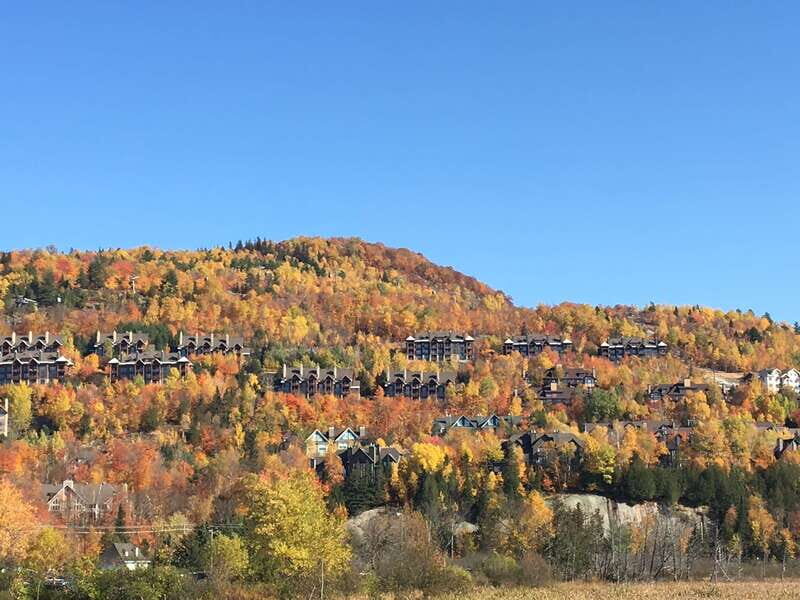 Montreal: Private Day Tour to Mont Tremblant - What the Reviews Say