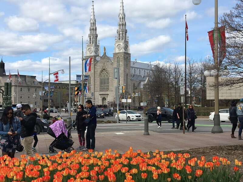 Montreal: Private Day Tour to Ottawa - Why This Tour Offers Good Value