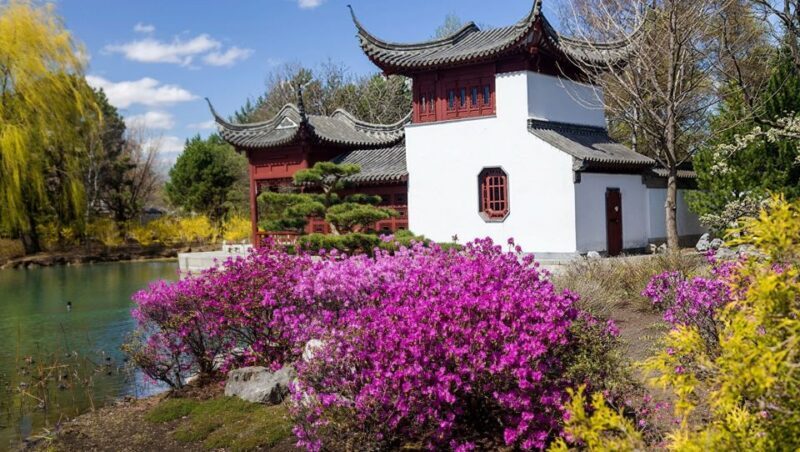 Montreal: Private Highlights & Hidden Gems Tour with a Local - Who Is This Tour Best For?