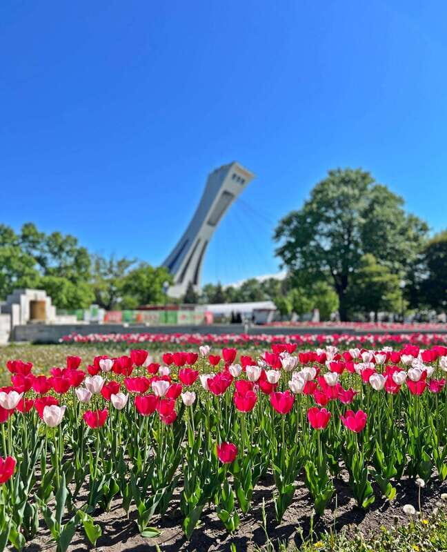Montreal Private Walking Tour 2h Plus Video Experience 360° - Practical Tips for Your Tour