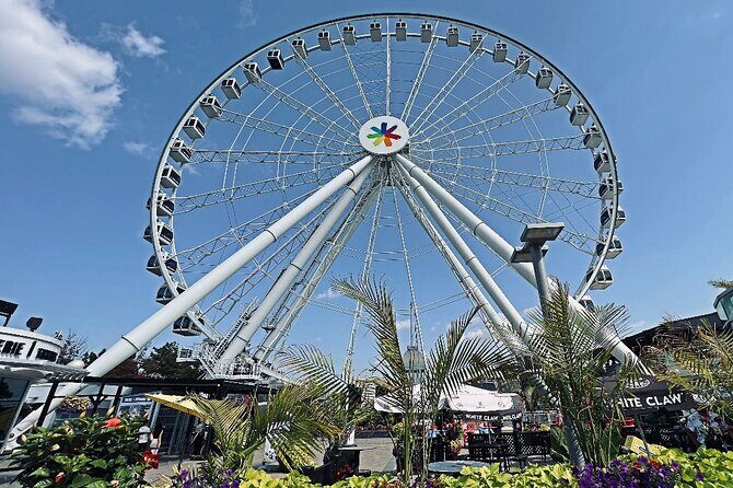 Montreal Private Walking Tour to Downtown RESO and Old Montreal - Who Should Consider This Tour?